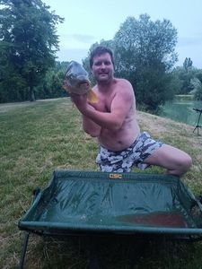 Common Carp