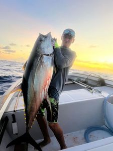 Yellowfin Tuna