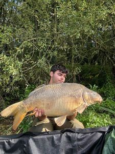 Mirror Carp