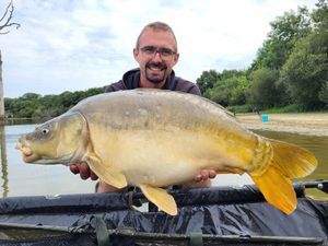 Mirror Carp