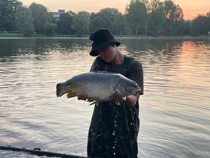 Mirror Carp