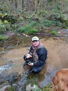 Brown Trout