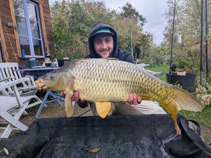 Mirror Carp