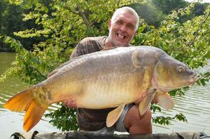 Mirror Carp