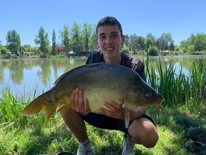 Mirror Carp