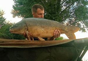 Mirror Carp