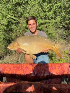 Mirror Carp