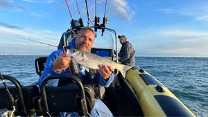 European Bass (Seabass)