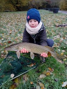 Northern Pike