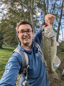 Largemouth Bass