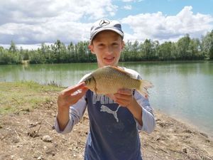 Crucian Carp