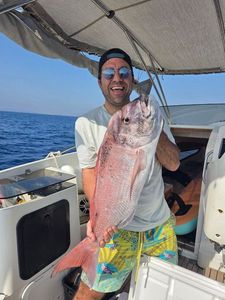 Red Porgy
