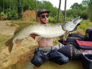 Northern Pike