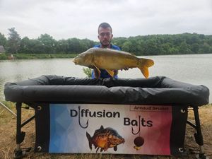 Mirror Carp