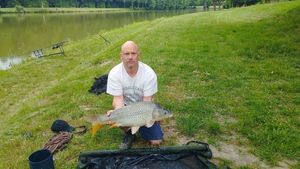 Common Carp