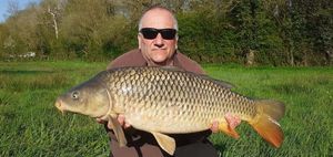 Common Carp