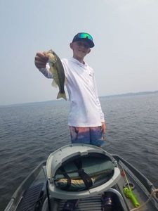 Largemouth Bass