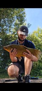 Tench