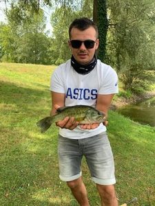 Smallmouth Bass