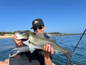 European Bass (Seabass)