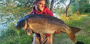 Mirror Carp