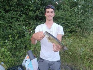 Largemouth Bass