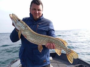 Northern Pike