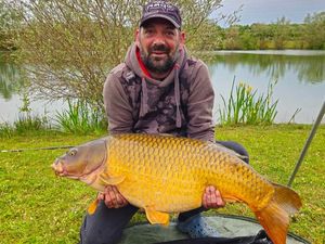 Common Carp