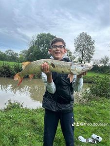 Northern Pike