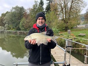 Common Bream