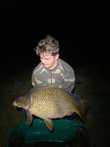 Common Carp