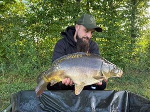 Mirror Carp