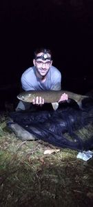 Grass Carp