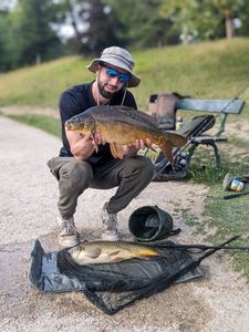 Mirror Carp