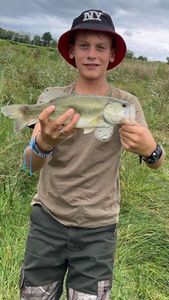 Largemouth Bass