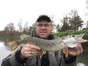 Northern Pike