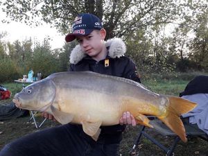 Mirror Carp