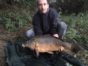 Mirror Carp