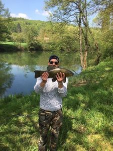 Tench