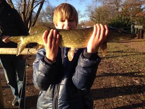 Northern Pike
