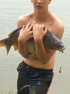 Mirror Carp