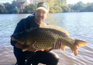 Common Carp