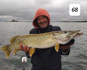 Northern Pike
