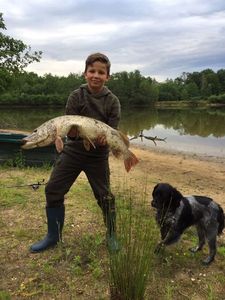 Northern Pike