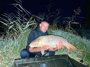 Common Carp