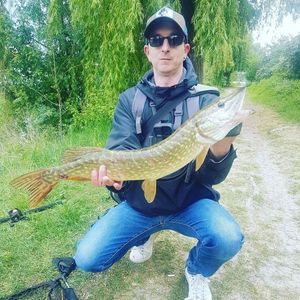 Northern Pike