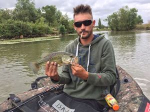 Smallmouth Bass