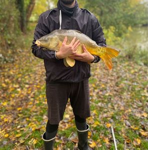 Leather Carp