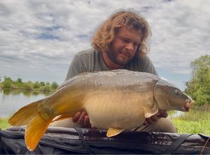 Mirror Carp