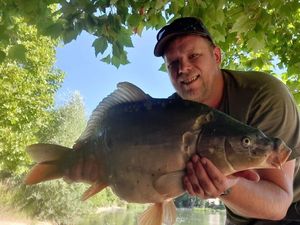 Mirror Carp